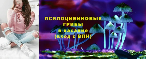 дурь Козельск