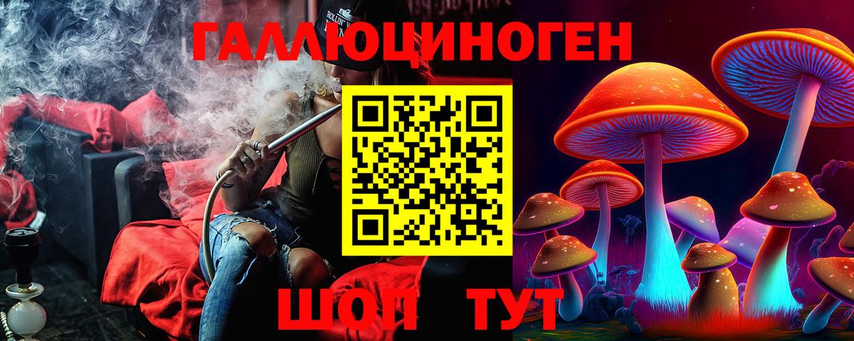 Галлюциногенные грибы GOLDEN TEACHER  Кемерово 