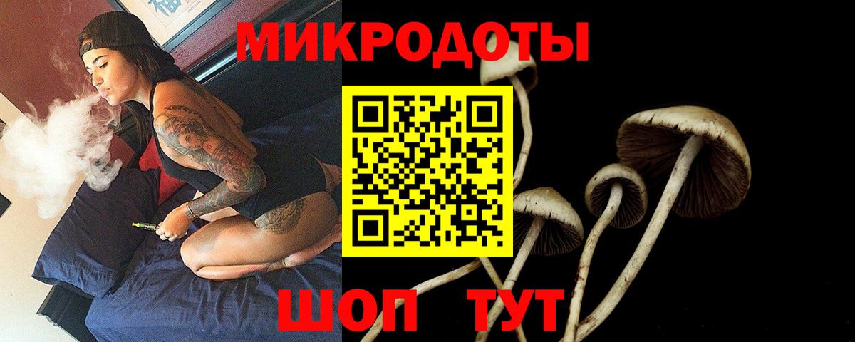 Кемерово  Галлюциногенные грибы мухоморы  Вход с VPN 